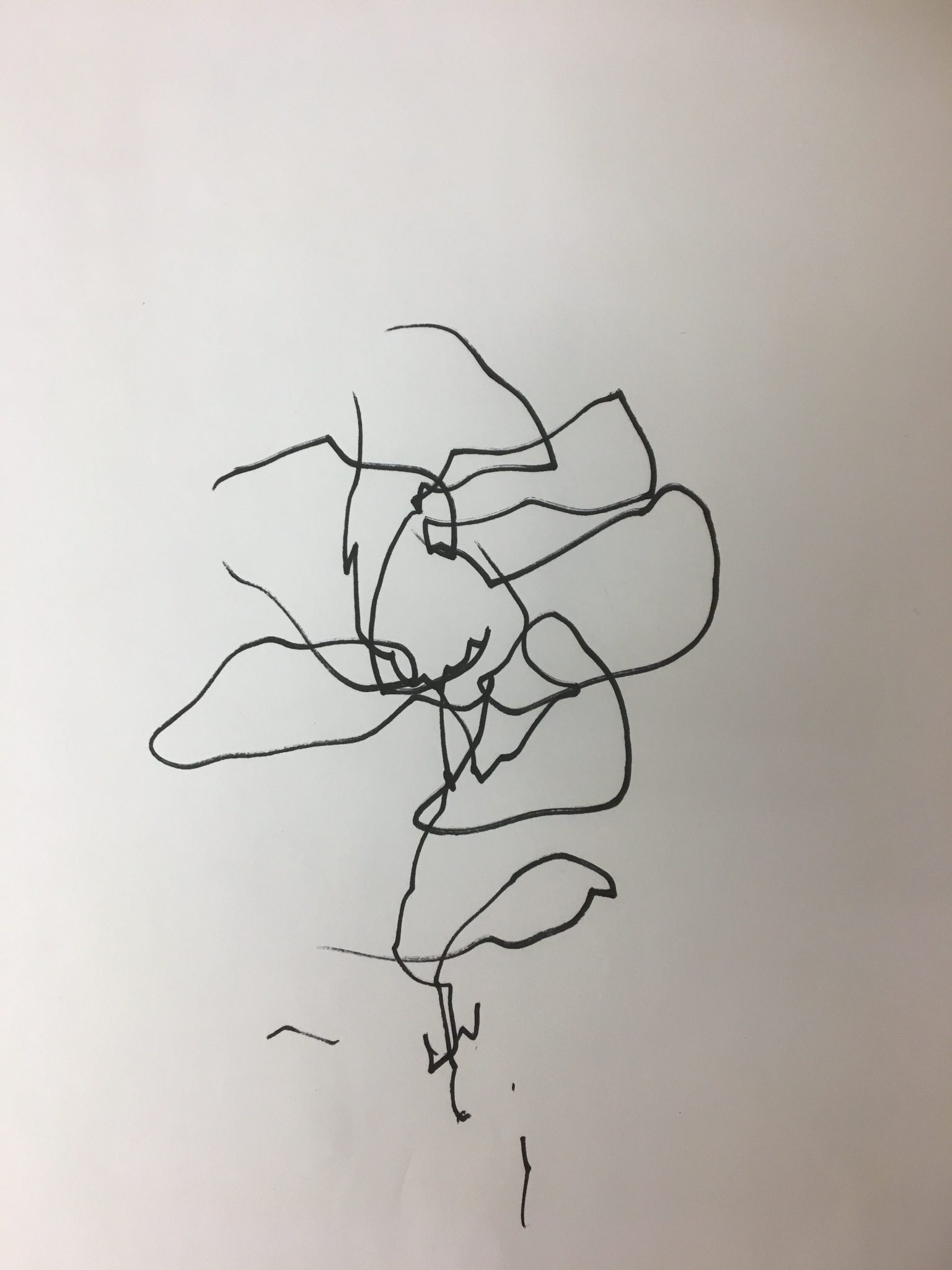 Podiatry Patients Always Draw a Daisy. Drawing Helps to Prevent Bunions