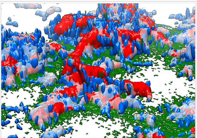 Current Update on Fungal Nail Biofilms 2025